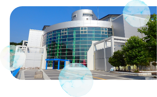 姫路ってどんなとこ？