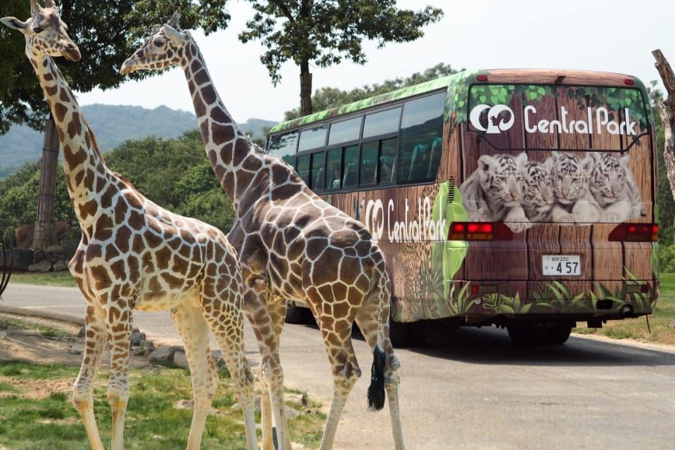 姫路セントラルパーク