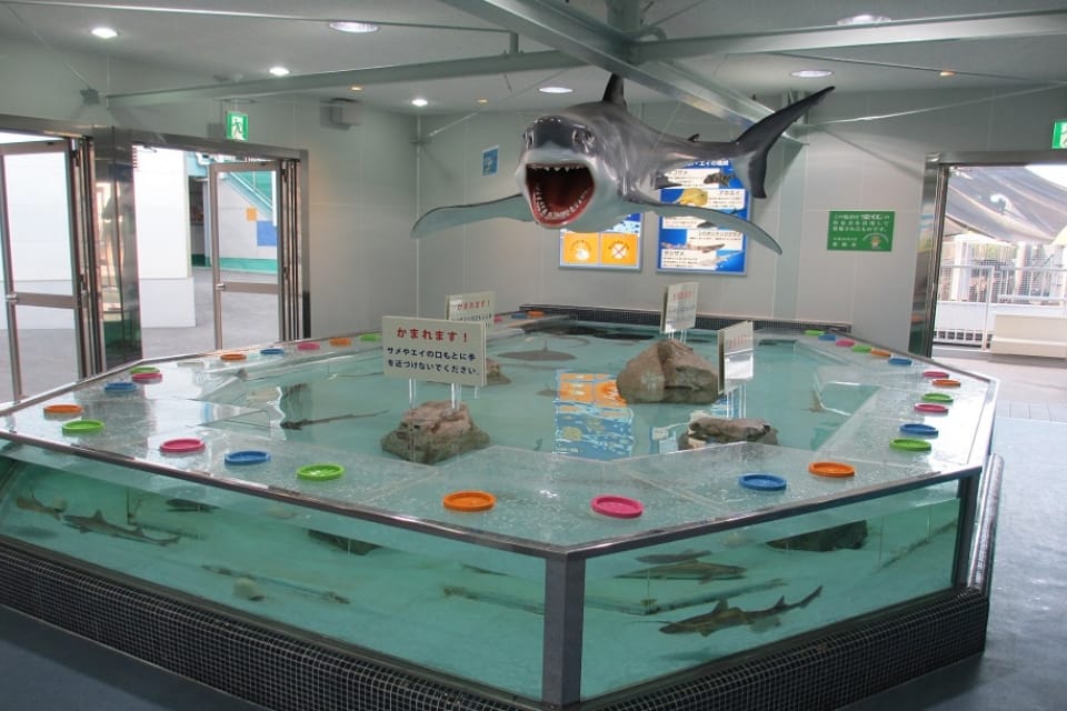 姫路市立水族館