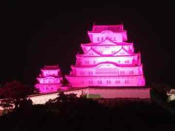 10月は「ピンクリボン月間」です