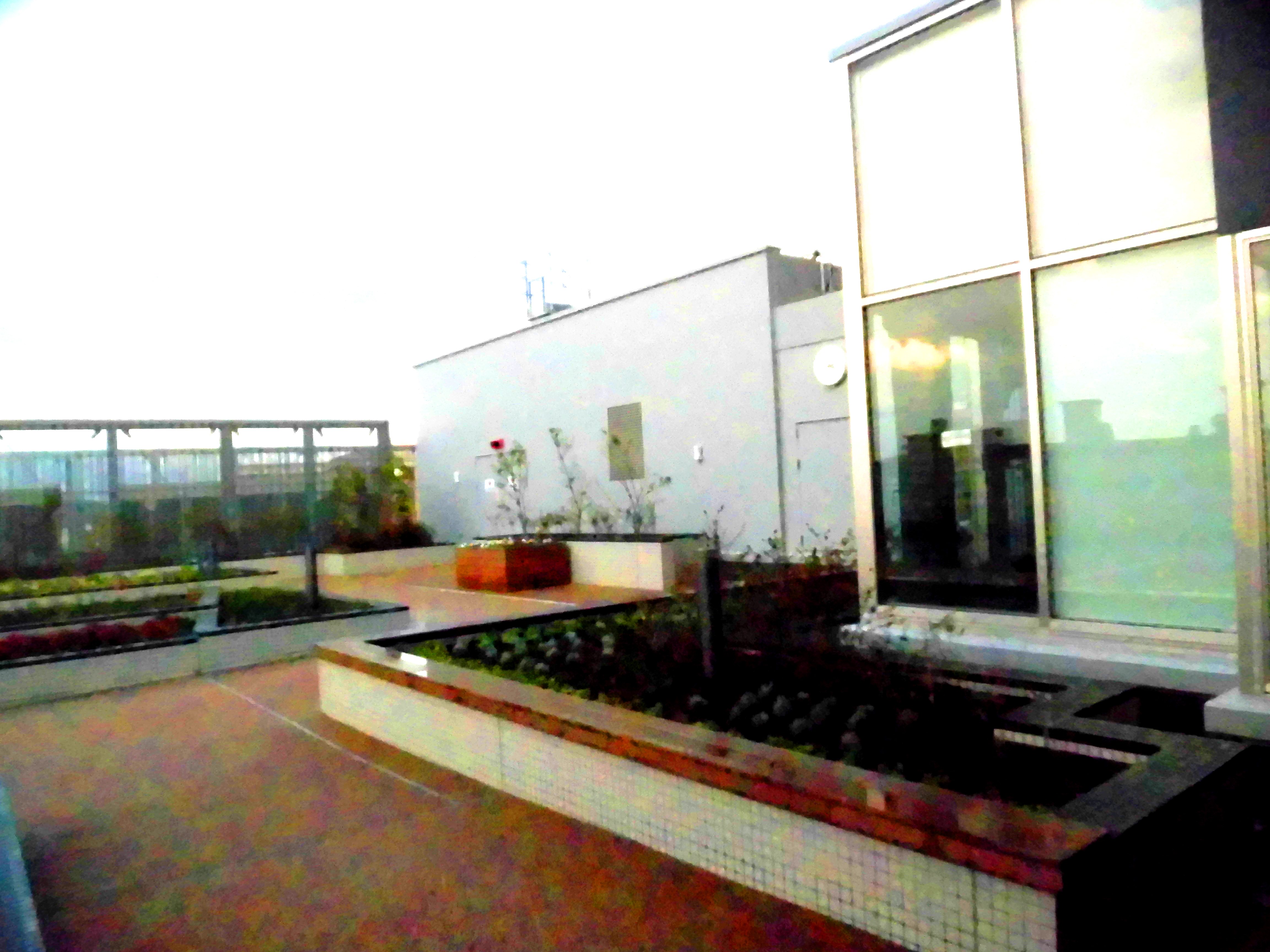 リハビリガーデンできました！（新病院）